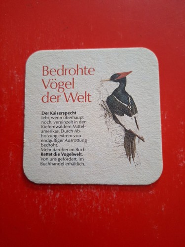 Bierdeckel kaiserspecht - kaiserspecht,