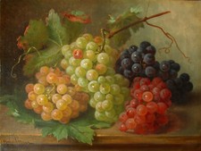 Franz Hohenberger (Wien 1867