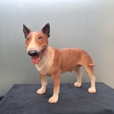 Veronese english bullterrier - english,