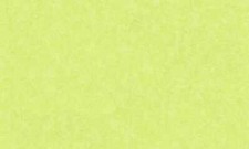 A.S. Création Papiertapete 150059 Grün Struktur Muster 0,53m x 10,05m