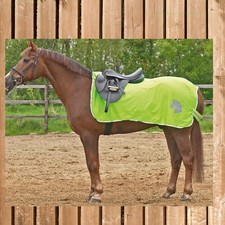 Ausreitdecke seen standard - ausreitdecke,