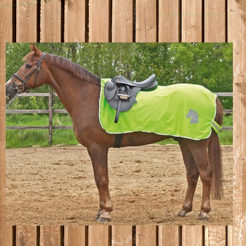 Ausreitdecke seen standard - ausreitdecke,