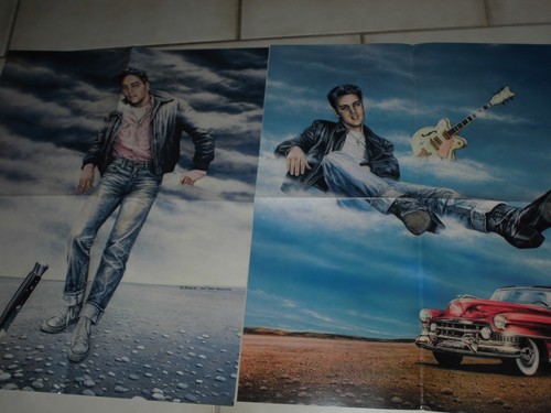 Elvis presley poster - ,