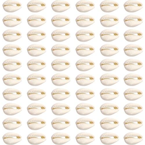 Kauri muscheln 200 - muscheln:, stück
