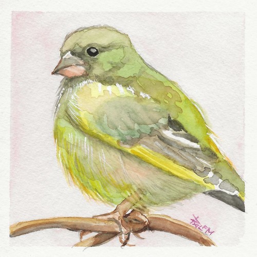 Vogel aquarell - vogel,