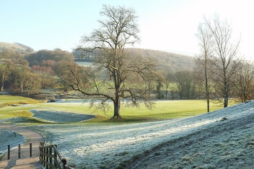 Foto 12x8 esche bolton abbey - bolton,