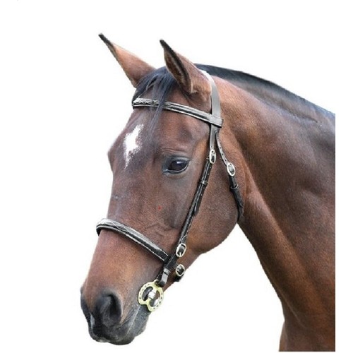 Blenheim zaumzeug fancy - blenheim,