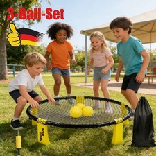 NEU Spikeball Standard