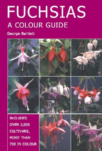 Fuchsias colour - a,