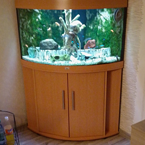 Juwel komplettaquarium - juwel,