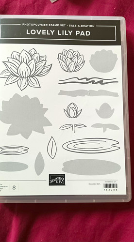 Stampin photopolymer - stampin',