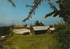 Jamaika Westmoreland Shafston