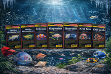 Frostfutter Zierfische – 50