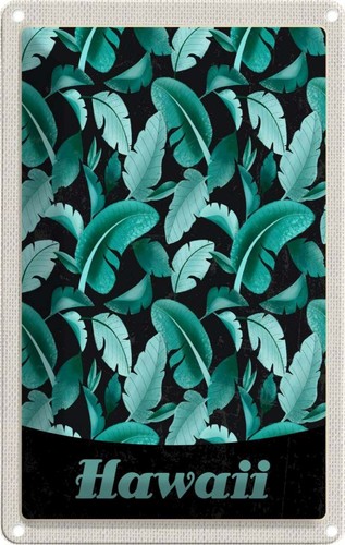 Blechschild 18x12 hawaii - blechschild, cm