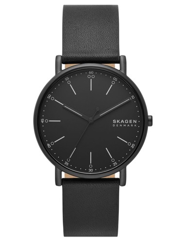 Skagen skw6902 herrenuhr - skw6902,