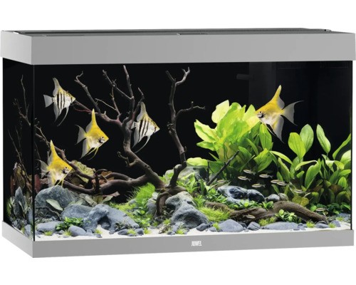 Aquarium juwel rio 290 sbx - aquarium,