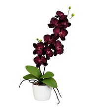 Orchidee Phalaenopsis 60cm, 9 Blüten, purple, im Keramiktopf 13 cm Kunstpflanze