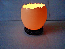 1 x Schlupfschale Straußenei