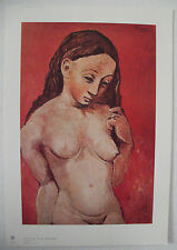 PICASSO  Motiv: Akt auf rotem