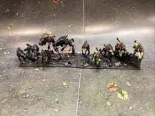 10 Dire Wölfe Vampire Counts