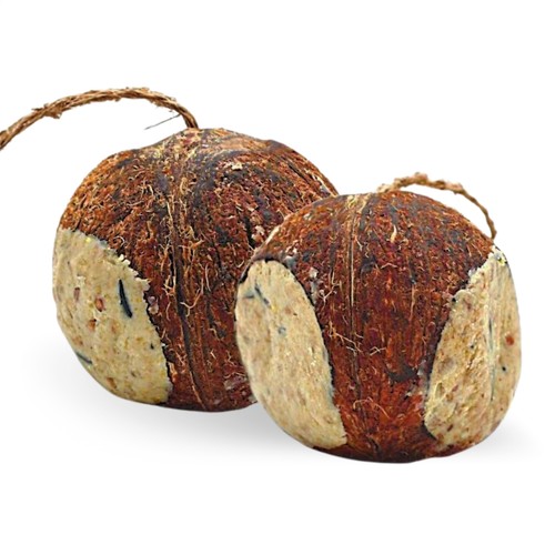 Ganze kokosnuss 4 stück - ganze,
