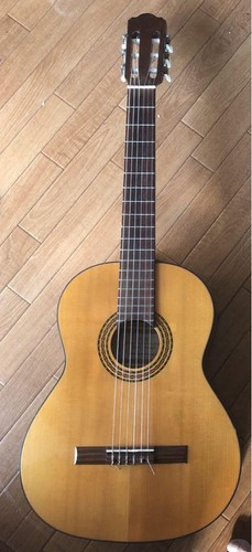 Klassische akustikgitarre hora - klassische,