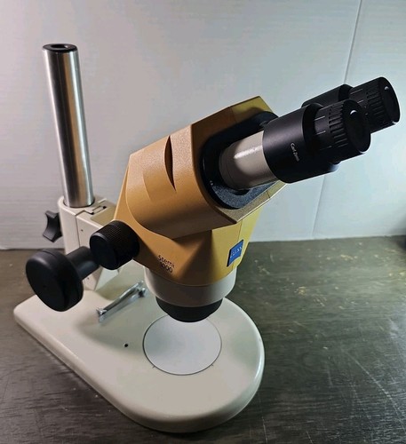 Carl zeiss stemi - carl,