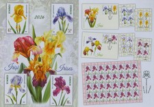 Romania 2026 Flowers, Lilies