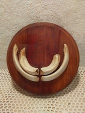 Keilerwaffen, Keilerzähne auf