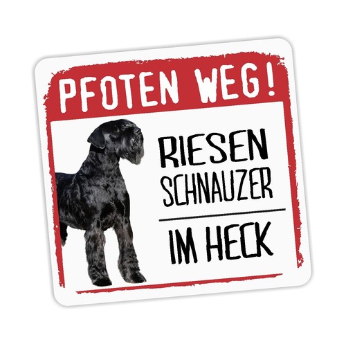 Riesenschnauzer schnauzer - riesenschnauzer,