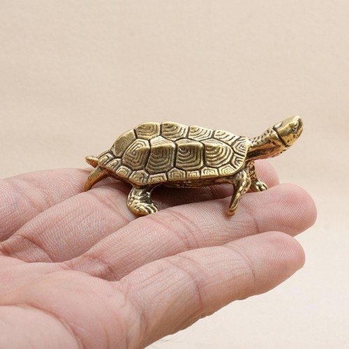Teehaustier-Schildkröten-Stat