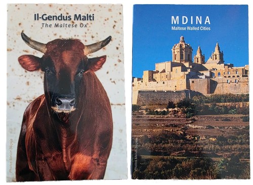 Euro medina und ochse - medina,