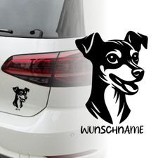 Auto Aufkleber | Zwergpinscher