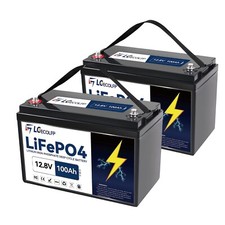 2 Pack 12V 100Ah LiFePO4