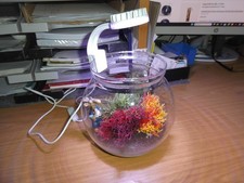 Rundes Fischglas mit LED