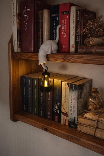 Katzenlampe mit laterne - mit, 3d