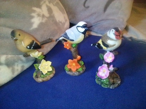 Vögel bestehend aus - 3, meise