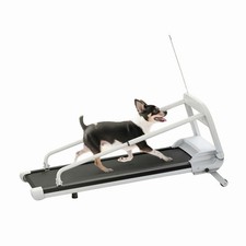 Professionelles Hundelaufband