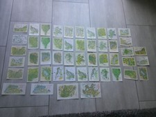 50 x  AK LANDKARTE LANDKARTEN