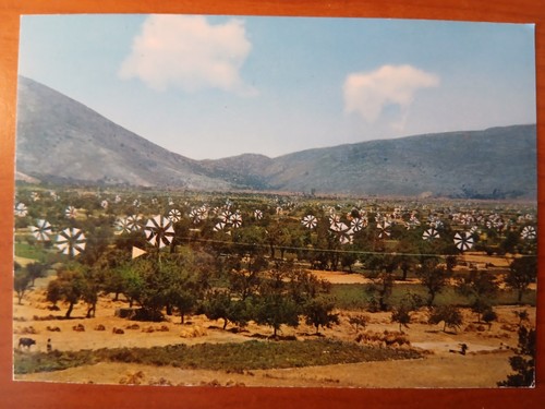 Postkarte 3117 nicht - , gelaufen