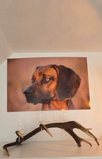 Schnapsständer aus Rothirschgeweih