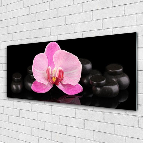 Acrylglasbilder wandbilder - acrylglasbilder,