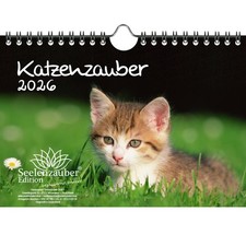 Katzenzauber DIN A5 Kalender
