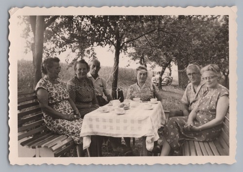 Kaffee kuchen im obstgarten - im,