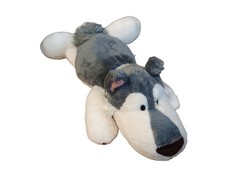 Nici husky hund liegend - ca, 35