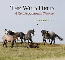 The wild herd vanishing - wild, a