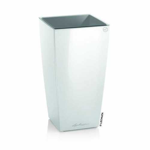 Lechuza mini cubi komplettset - mini-cubi,