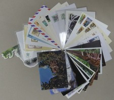 Motiv Eulen Lot von 50 Stück