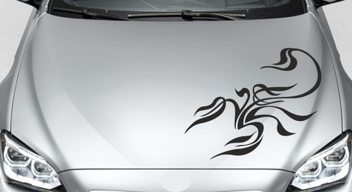 Motorhaubenaufkleber
