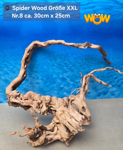 Xxl moorkien spiderwood - 👋xxl,